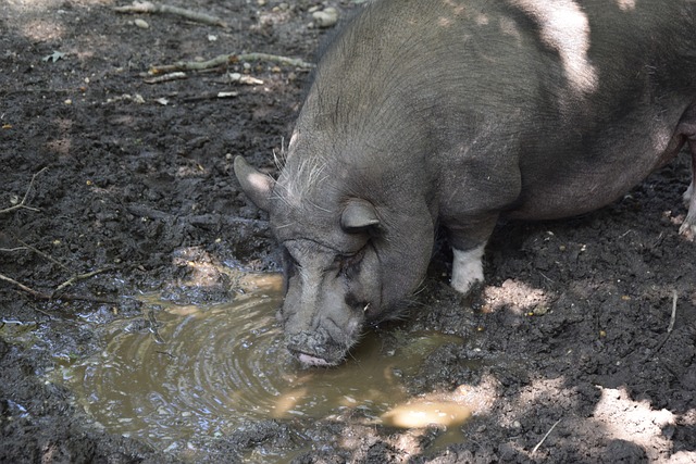 显示出了一 显示出了一