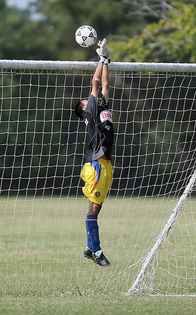 但他并没有 但他并没有