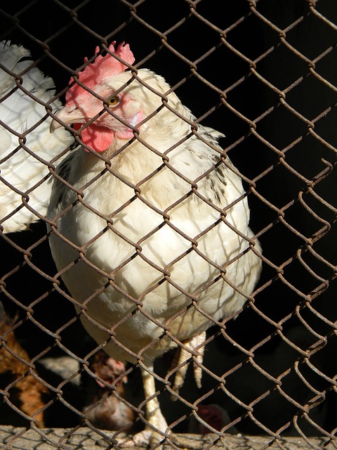 具体来看 具体来看