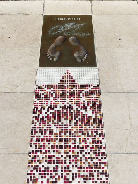 的引領下 的引領下