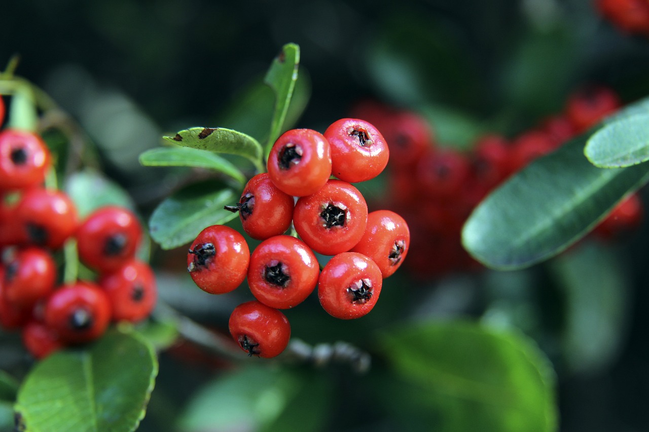 在足球界 在足球界