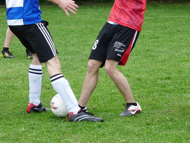 续保持高昂 续保持高昂